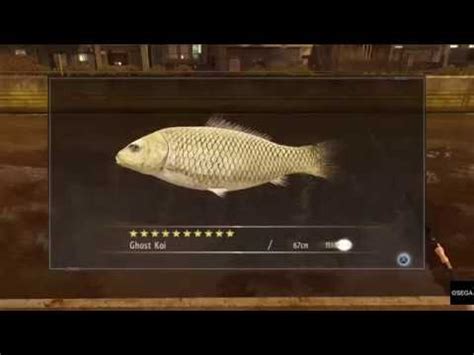 yakuza 0 ghost koi